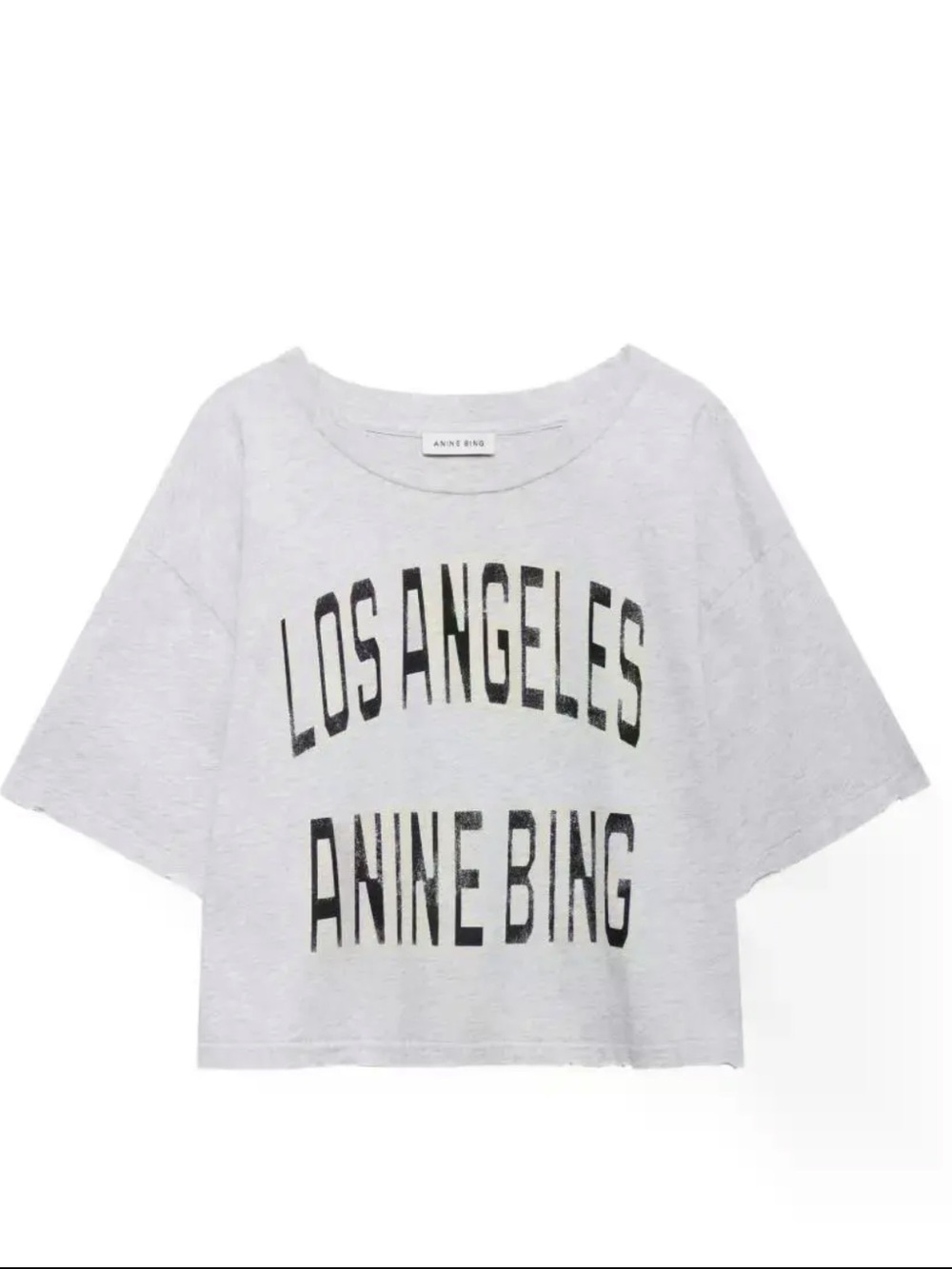 ANINE BING Los Angeles Graphic Tee Gray Oversized Crop T-Shirt L NWT